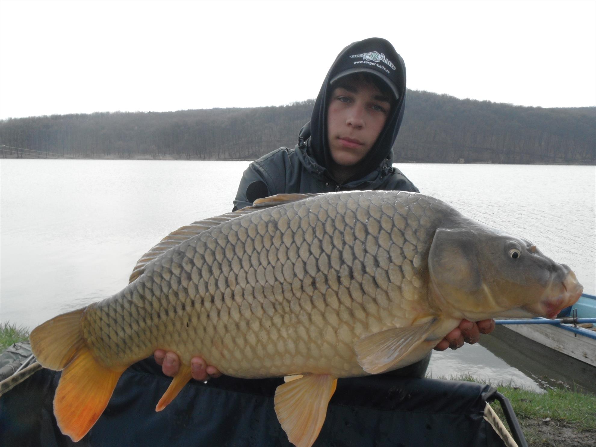 Martie 2013 - Harsany - Martie 2013